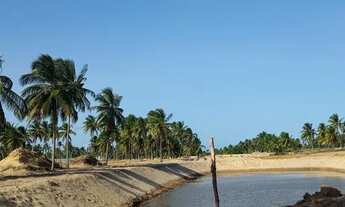 Imagem 5: Terreno quitado a 400metros da beira da praia