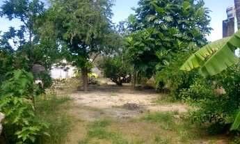 Imagem 5: Vendo terreno em Rua calçada em Pau Amarelo