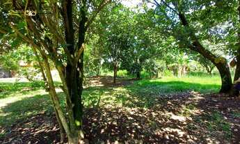 Imagem 4: Chácara com 2 dormitórios à venda, 5000 m² por R$ 1.600.000,00 - Chacara Santo Antonio - S