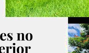 Imagem: W36-Venha conhecer esse novo sucesso de