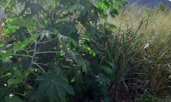 Imagem: Terreno para venda possui 220 metros quadrados