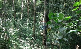 Imagem 5: Lote 5.000m² - Jardins de Petrópolis