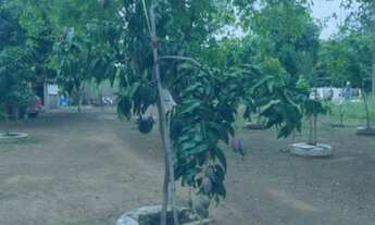 Imagem 6: Oportunidade! Vende-se um espetáculo de sítio 6 Hectares