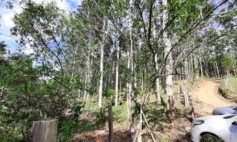 Imagem 4: Sítio para Venda em Imaruí, Centro