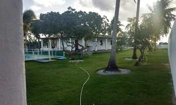 Imagem 3: Fazenda/Sítio/Chácara para venda com 3000 metros quadrados com 4 quartos em Centro - Araca