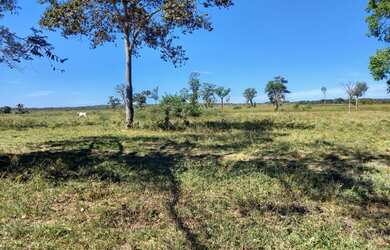 Imagem 6: Fazenda no Vale do Araguaia-TO