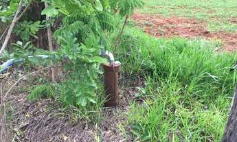 Imagem 4: Sítio/Chácara com poço artesiano e excelente topografia!!!