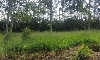 Imagem 6: Lote/Terreno para venda com 1000 metros quadrados em Ressaca - Ibiúna - SP