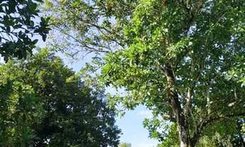 Imagem 4: Aldeia Chácara com 5.000m² de puro verde