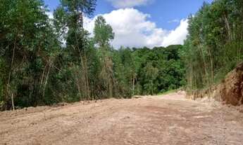 Imagem 7: Terreno a venda com 1000M² com lago para pesca