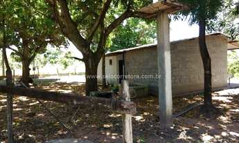 Imagem: Chacrinha no Muni de Cuiabá -MT