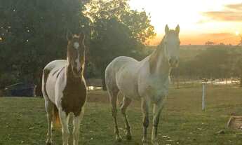 Imagem 5: VENDO SITIO EM CAJURU