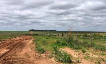 Imagem 5: Excelente Fazenda no Muni. de Primavera Do Leste -MT