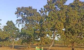 Imagem 7: Excelente Lote Comercial - Esquina - Quitado