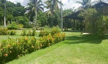 Imagem 2: Sítio com 12.000m² na Zona Rural de Marechal Deodoro/AL