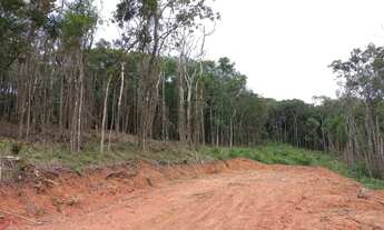 Imagem: Terreno próximo a Ibiuna, para quem procura