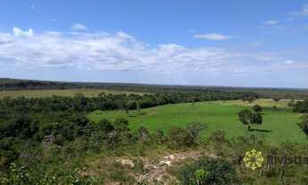 Imagem 3: Fazenda à venda, 220 Hectares - Zona Rural - Centenário/TO