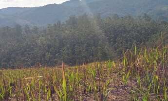 Imagem 2: Lote/Terreno para venda possui 1000 metros quadrados em Centro - Mairiporã - SP