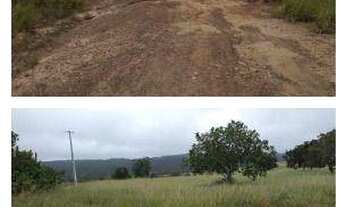Imagem 4: LEILÃO DE 50% DE 2 FAZENDAS EM: Zona Rural - Cáceres/MT