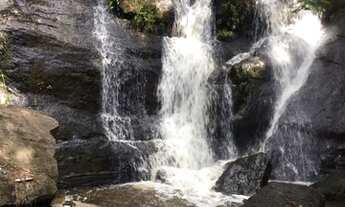 Imagem: Venha fazer uma visita e retirar as suas