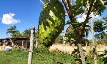 Imagem 6: Vendo ou troco chácara na ponte alta de baixo, Gama Sul