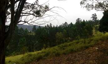 Imagem 5: ÁREA DE 22855M2 JUNDIAI NO BAIRRO DO JUNDIAI MIRIM