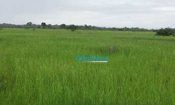 Imagem 7: Fazenda a venda - área rural