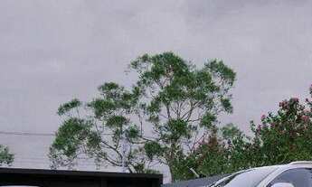 Imagem 6: Apartamento à venda - Itacolomi - Balneário Piçarras/SC