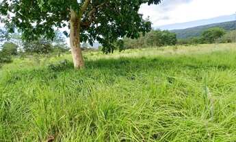 Imagem 3: VENDO SITIO NA REGIÃO DO SALTO DO ITIQUIRA GOIAS