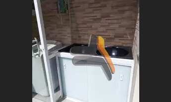 Imagem 7: Apartamento com 2 dormitórios à venda, 48 m² por R$ 375.000 - Jardim Piratininga - Sorocab