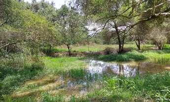 Imagem 6: Fazendinha para Venda em Cachoeiras de Macacu, Papucaia, 2 dormitórios, 1 suíte, 2 banheir