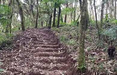 Imagem 2: Ótimas chácaras em são José dos Pinhais