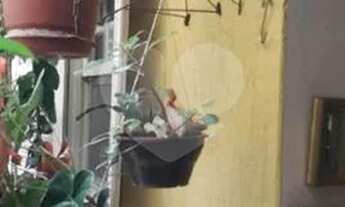 Imagem 7: Sobrado à venda no bairro de Santana