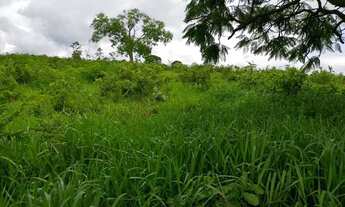 Imagem 6: Chacara em Mairipotaba com represa a 80 km de Goiânia chacaras 2 hectares aceito carro