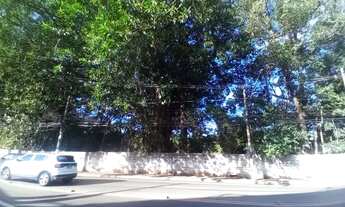 Imagem 7: Galpão/Depósito/Armazém para aluguel possui 345 metros quadrados em Vila Lageado - São Pau