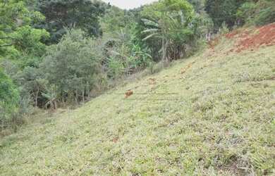 Imagem 4: Rural fazenda, sítio e chácara em Jacarei