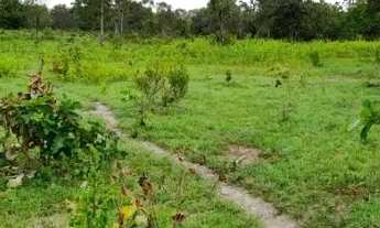 Imagem 2: Vendo fazenda - 12 alqueires e 30 Litros