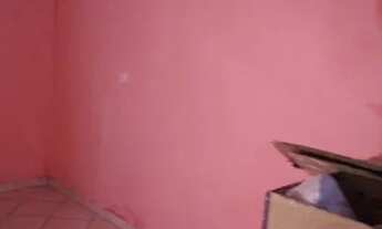 Imagem 3: Alugo casa pra solteiro (a