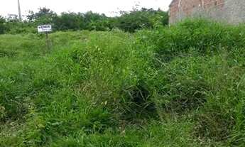 Imagem 3: Terreno em Lagoa de Pedras