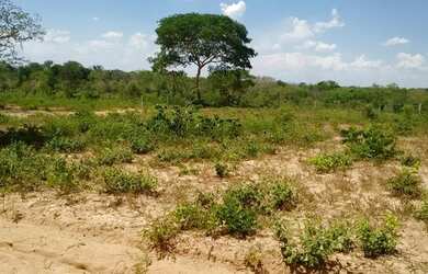 Imagem 2: Vendo terreno de 1.040 MT.(20x52mt.) Valor 30,000 Mil reais