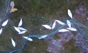 Imagem 4: Casa em Monte Alto Arraial do Cabo RJ