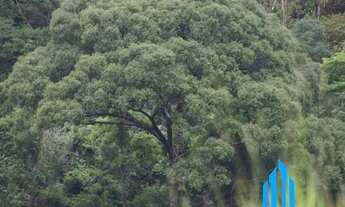 Imagem 2: Chácara a venda com 3.000 mil metros com córrego dentro da propriedade em Buenos Aires em