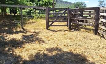 Imagem 7: Fazenda de 114,7 hectares toda plana, toda cercada no arame liso com Rio de grande porte