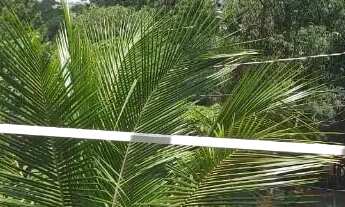 Imagem 5: Casa com 3 dormitórios à venda, 220 m² por R$ 1.600.000,00 - Ibiaram I - Itupeva/SP