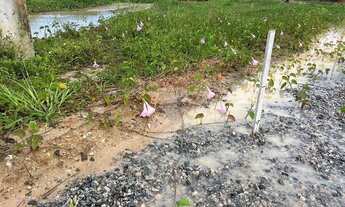 Imagem 5: Terreno à venda em Marechal