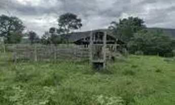 Imagem 2: Fazenda c/ 149he, c/ 80he aberto, terra mista, 70km de Cuiabá-MT