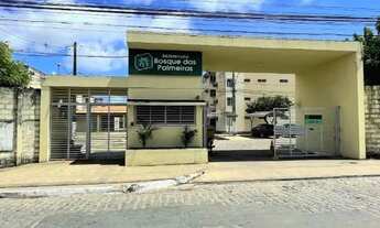 Imagem: Apartamento com 2 quartos