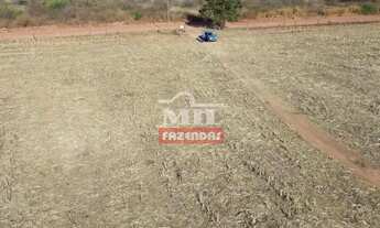 Imagem 2: Chácara 2,65 alqueires (12,83 hectares) Palmeiras De Goiás - Go