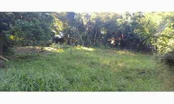 Imagem 3: Fazenda em Aparecida