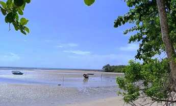 Imagem 7: Terreno belíssimo a 6 minutos do mar de Moreré